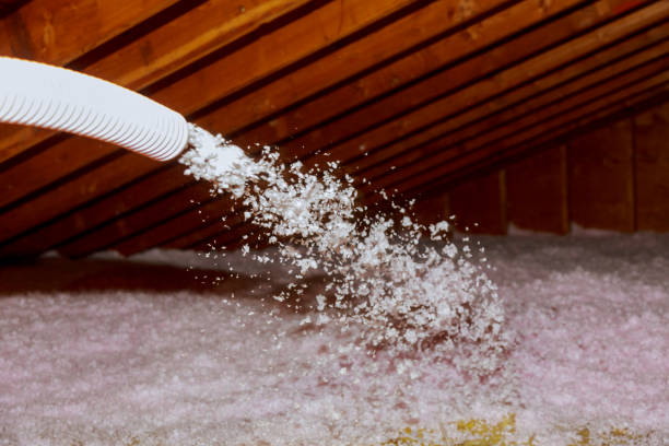 Best Insulation Installation Services in Radford, VA